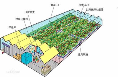 助力新型農(nóng)業(yè) 北京歐倍爾3D設(shè)施農(nóng)業(yè)生產(chǎn)系統(tǒng)（植物工廠）虛擬仿真實(shí)驗(yàn)軟件應(yīng)用探析